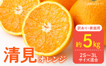 DZ6106_【2027年先行予約】家庭用 訳あり きよみ 清見オレンジ 和歌山 有田 2S～3Lサイズ混合 約5kg