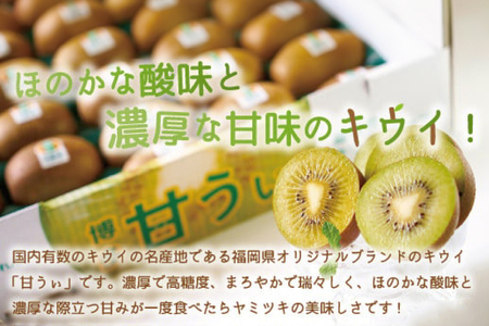 【期間限定発送】 キウイ 甘うぃ 約 3kg [南国フルーツ 福岡県 宇美町 um40azo970033] 福岡県産 キウイフルーツ フルーツ 果物 くだもの