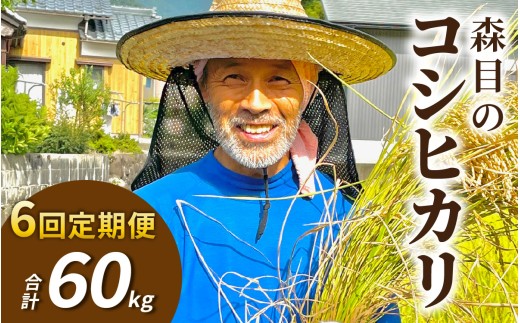 【令和8年産 新米 先行予約】【6ヶ月定期便】【玄米】福井県大野市 森目のコシヒカリ計60kg (5kg×2袋) 6回配送 |  お米 米 こめ 玄米 コシヒカリ お米 精米 玄米 白米 こめ コメ お米 2026年産 おこめ ご飯 ごはん 送料無料 国産 白飯 産地直送 R8 おいしい ふるさと納税 R8