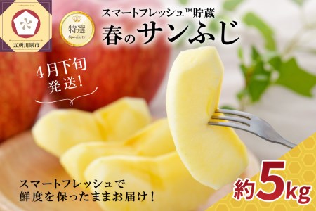 【2026年4月下旬発送】春のサンふじ りんご 約5kg 【特選】 スマートフレッシュTM貯蔵 贈答用 青森県産