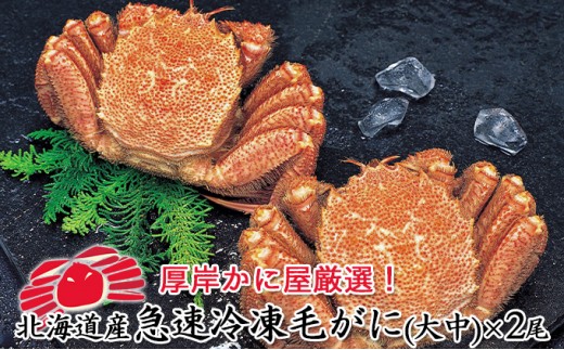 
                  カニ かに屋厳選 北海道産 急速冷凍 毛ガニ（500g前後）2尾【馬場商店】[ カニ 蟹 毛ガニ かに 魚介 毛蟹 ]  [№5863-0641]
                