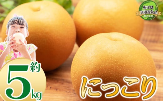 【2025年先行予約】JAうつのみやから直送 栃木県の特産の大きな梨 にっこり 5kg | 梨 なし 新品種 先行予約 大粒 新鮮 甘い 美味しい 果物 共通返礼品 フルーツ デザート 栃木県 那珂川町 送料無料