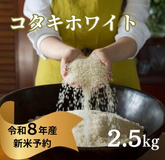 【ふるさと納税】『令和8年産新米予約』希少米 コタキホワイト 2.5kg