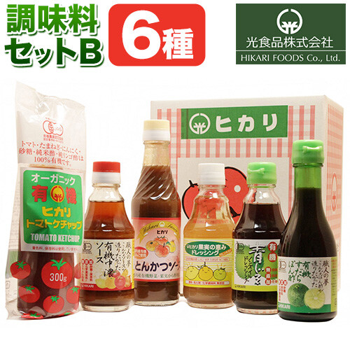 有機 調味料セット B 6種 光食品 株式会社 《30日以内出荷予定(土日祝除く)》無添加 調味料 バラエティーセット 中農ソース とんかつソース ケチャップ ドレッシング ノンオイル 無農薬栽培 徳島県 上板町 st-p