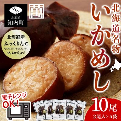 ふるさと納税 知内町 IKAーMESHI いかめし 2個入5袋 もち米 北海道 ご飯 ふっくりんこ 常温 惣菜 いか