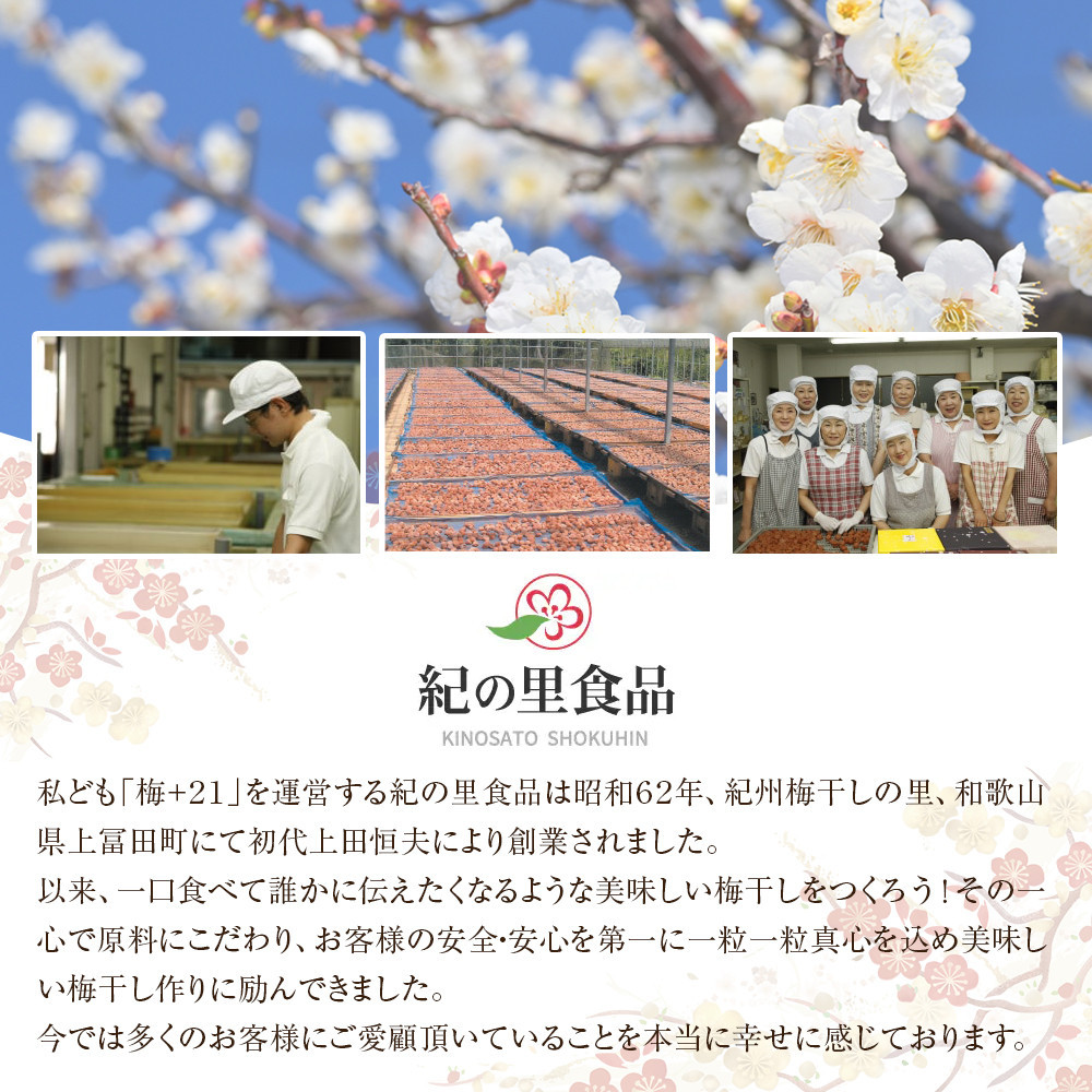 紀州南高梅 紀州極上漬 850g×1箱 ［Kn1］