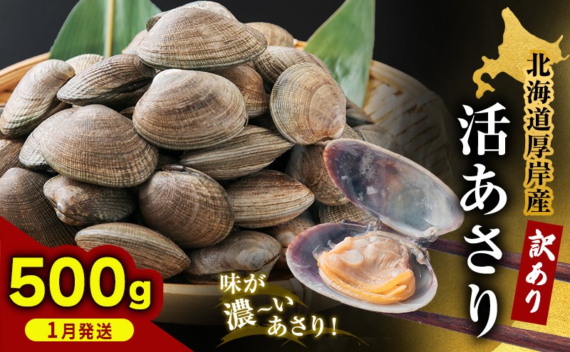 
                  1月発送 北海道 厚岸産 訳あり 活あさり 500g  アサリ 魚貝 海鮮 大粒 美味しい 栄養 旨み 砂出し 水洗い 冷蔵 冷凍保存可能 便利 [№5863-1402]
                