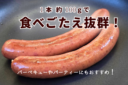 北海道産 黒毛和牛 100％ こぶ黒 BIG フランクフルト 4本 入り 和牛 牛肉 ソーセージ 冷凍