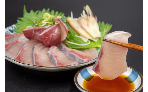 定期便 6ヶ月 6回 毎月 届く ぶり ブランド 乙女ブリ 須崎【下処理有】 刺身 刺し身 鰤しゃぶ 海鮮 魚介 サカナ さかな 魚 KS17000-2x