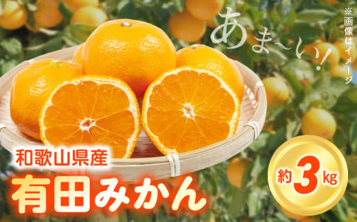 【2026年先行予約】こだわりの和歌山県産 有田みかん 3kg ひとつひとつ手選別で厳選！生産者から直送_ZN6012
