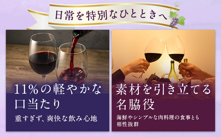 defi 91 ans ワイン1本 750ml 赤ワイン ワイン ギフト 馬場 幸一 《7-14日以内に出荷予定(土日祝除く)》北海道 日高町 ワイン wine お酒 飲料---26_hohdk_bk