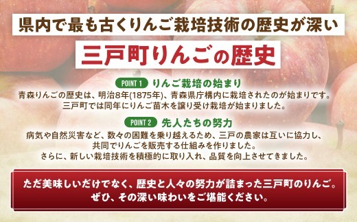 りんご【サンふじ】 約10kg（24～40玉）【2026年産・先行予約】★2027年1月中旬～1月下旬頃発送予定★ 青森県三戸町産 りんご 林檎 フルーツ 果物 果実 青森 三戸 高級 贈答 ギフト プレゼント 産地直送 農家直送 青森県三戸町 AK-25-074
