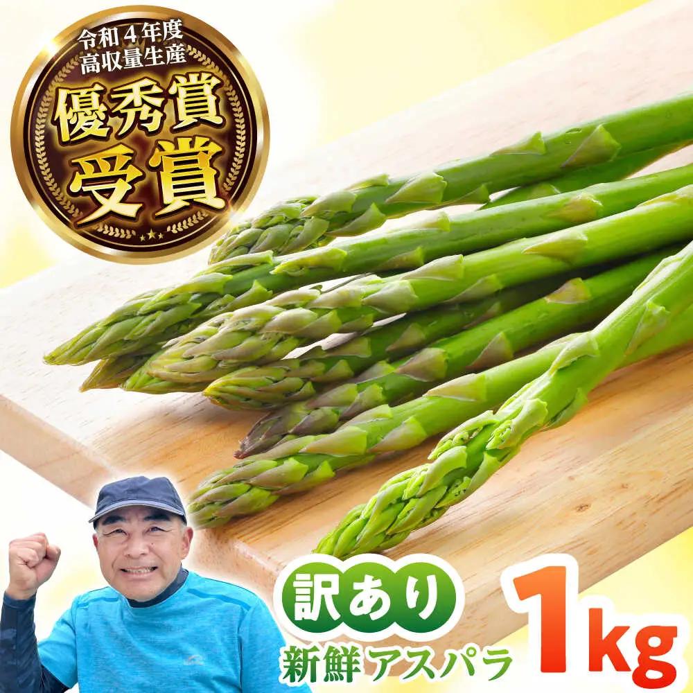 【訳あり】 壱岐産 訳アリ アスパラ 1kg  [JGZ001] アスパラ