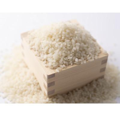 ふるさと納税 塩谷町 【令和6年度】「奇跡のお米 神宝米」白米 真空パック1kg×2パック |  | 02