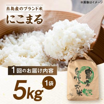 ふるさと納税 糸島市 【全3回定期便】 にこまる 玄米品質1等米 白米 5kg 糸島市産 [AGR008] |  | 03