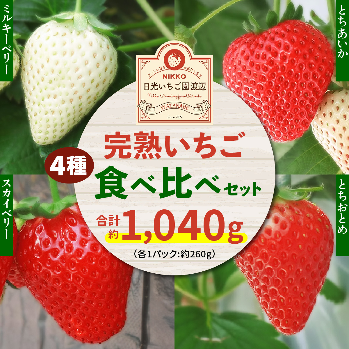 [2026年1月上旬より順次発送] 4種類の「完熟いちご」 食べ比べ！ Bセット 260g×4パック 日光の自然が育むいちご｜期間限定 イチゴ 苺 フルーツ とちおとめ とちあいか スカイベリー ミルキーベリー 果物 産地直送 日光産 栃木県産 [0653]