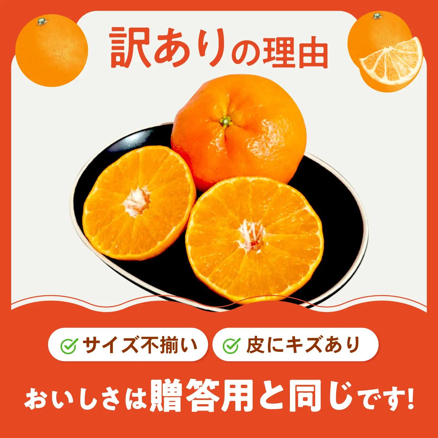 みかん 訳あり 甘平 サイズ不揃い 約5kg【1月上旬から2月下旬まで順次発送】/ フルーツ 果物 蜜柑 ミカン オレンジ 訳あり 訳アリ 小玉 甘い 先行予約 5kg 愛媛 / 愛媛県砥部町/えひめ