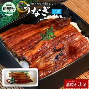 特選うなぎの蒲焼き３尾（特製タレ付き）ヤマシン