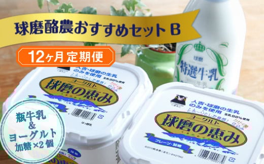 【12ヶ月定期便】球磨酪農おすすめセットB（瓶牛乳&ヨーグルト加糖×2個）