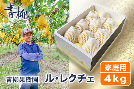 【2026年先行予約】新潟特産 幻の洋梨ル・レクチェ 家庭用 4kg（9～11玉）《11月下旬～順次発送》 青柳果樹園
