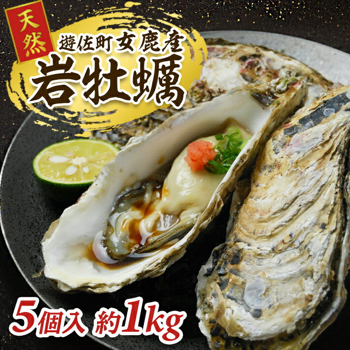 【ふるさと納税】山形県遊佐町女鹿産 天然岩牡蠣 5個入 約1kg 殻付き 6月上旬～8月下旬頃お届け 冷蔵便 ※着日指定・離島（沖縄県を含む）発送不可 カキ かき 岩かき お取り寄せ 日本海 東北 庄内 鮮魚 新鮮