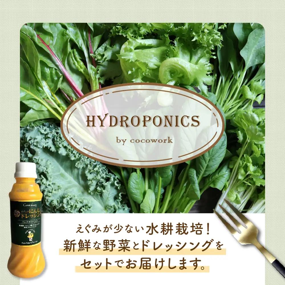 ココワークの水耕栽培野菜 約1kg ゆず人参ドレッシング2本 セット
