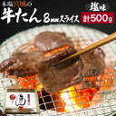 【ふるさと納税】牛たん（8mm）塩味　250g×2パック　計500g　【04203-0759】