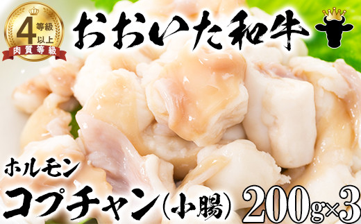 おおいた和牛ホルモン（コプチャン 200g×3）【ニード牧場】 国産 焼肉用 ＜129-018_6＞
