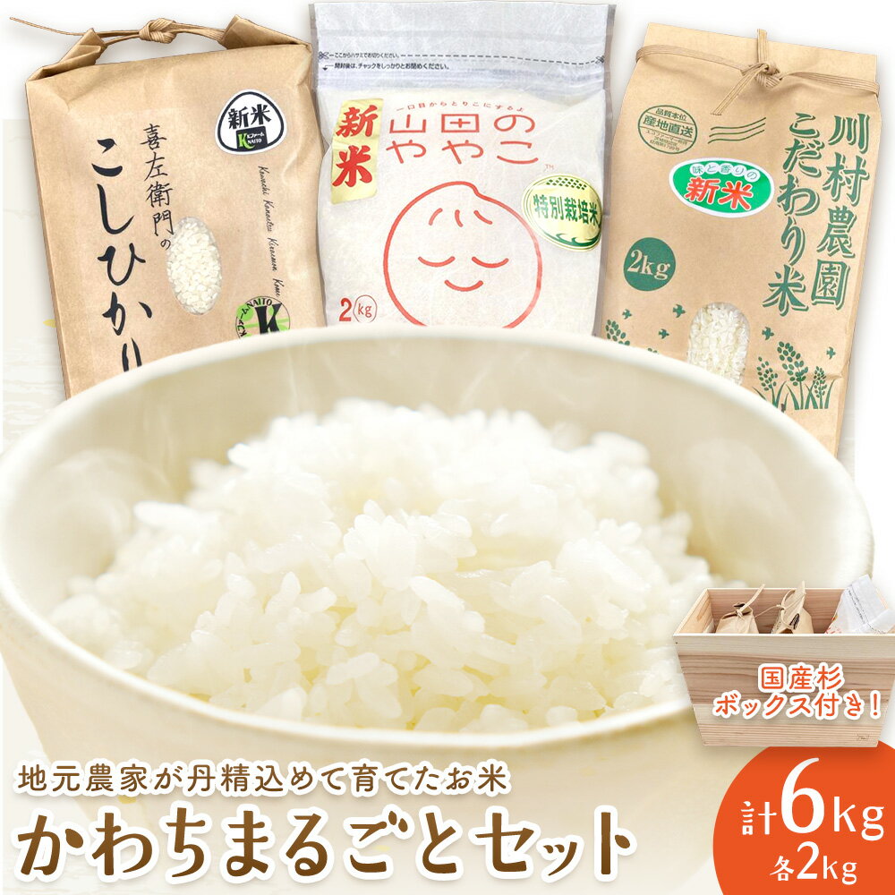 【ふるさと納税】新米 令和7年産 かわちまるごとセット 計6kg (各2kg) コシヒカリ まちづくり河内株式会社かわち夢楽《30日以内に出荷予定(土日祝除く)》茨城県 河内町 米 こめ 白米 お米 ご飯 こしひかり Kファーム 喜左衛門 ゆうゆう農園 山田のややこ 川村農園 こだわり米
