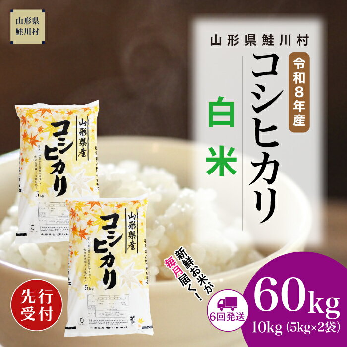 【ふるさと納税】＜令和8年産米先行受付＞ 鮭川村 コシヒカリ 【白米】60kg （10kg×1ヶ月間隔で6回お届け）＜配送時期選べます＞