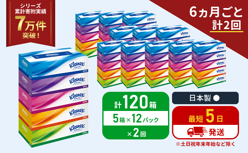 定期便 ティッシュ クリネックス ティシュー 1ケース (5箱入×12パック)《6ヶ月ごと計2回》 ティッシュペーパー セット 柔らかい 節約 日用品 日用雑貨 備蓄 備蓄品 備蓄用 防災 災害 ボックスティッシュ  ペーパー 宮城 岩沼市