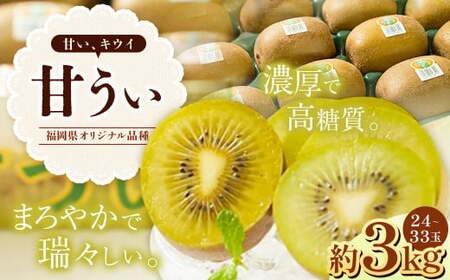 A200  福岡県産 ブランドキウイ・甘うぃ 約3kg（24～33玉） 【2025年10月下旬～12月上旬発送予定】 キウイ 果物 くだもの フルーツ