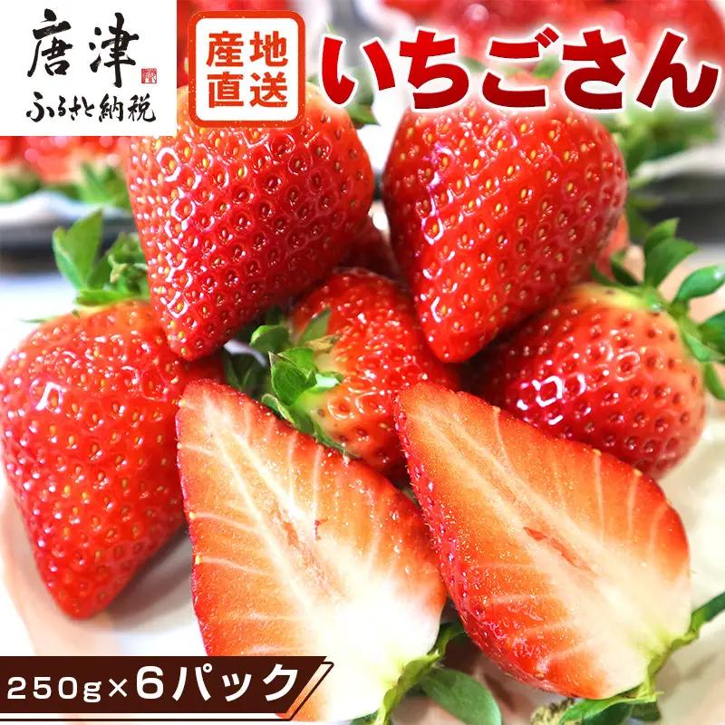 『先行予約』【令和9年3月より順次発送】唐津産 いちごさん 約250g×6パック(合計約1.5kg)