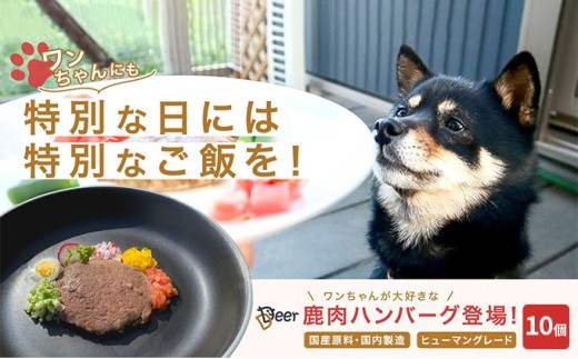
鹿肉ドッグフード　鹿肉ハンバーグ（犬用）　10個（約50g×10個）[№5580-0877]
