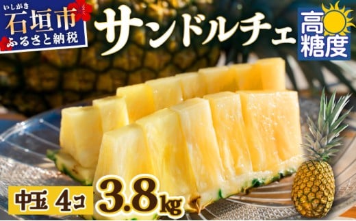 【先行予約】石垣島産 中玉サンドルチェ４玉 合計約3.8kg 《2026年7月中旬以降発送》 【 沖縄 石垣 フルーツ パイナップル パイン サンドルチェ 産地直送 】SI-108