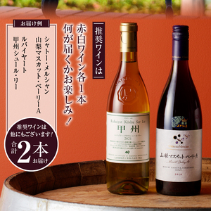 ぶどうの恵みセット　赤白ワイン（各１本）とぶどうジュース１本セット　C-653