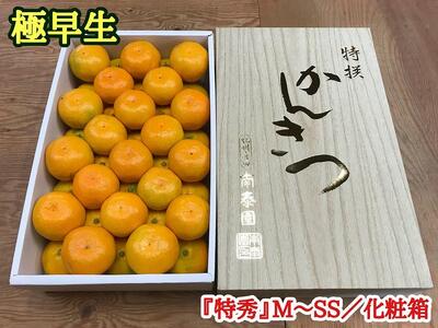 定期便 有田みかん 食べくらべ 3種 化粧箱 各約 3kg 南泰園 全3回 2024年 10月 発送開始