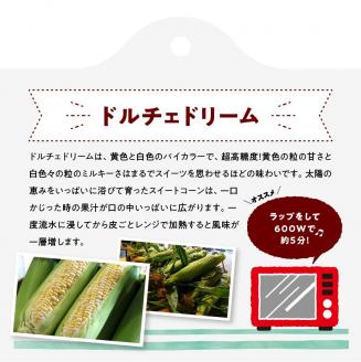 【令和6年発送】大山さんちの スイートコーン ( ドルチェドリーム ) 4.5kg　とうもろこし スイートコーン[E7101]