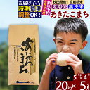 【ふるさと納税】※令和6年産 新米予約※《定期便5ヶ月》秋田県産 あきたこまち 20kg【無洗米】(5kg小分け袋) 2024年産 お届け周期調整可能 隔月に調整OK お米 藤岡農産