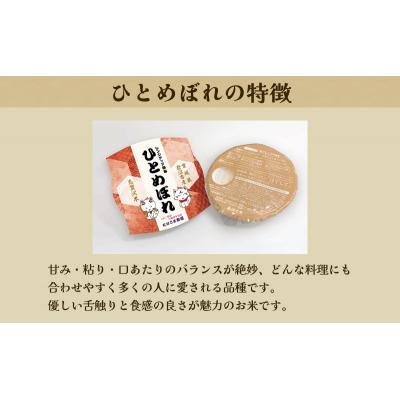 ふるさと納税 岩沼市 【令和7年産新米】ひとめぼれ レンジアップごはん12個セット[No.5704-0907] |  | 02