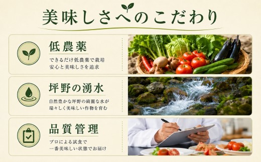 小千谷産大玉スイカ。肉質がやや柔らかめでシャリ感とみずみずしさは十分です！