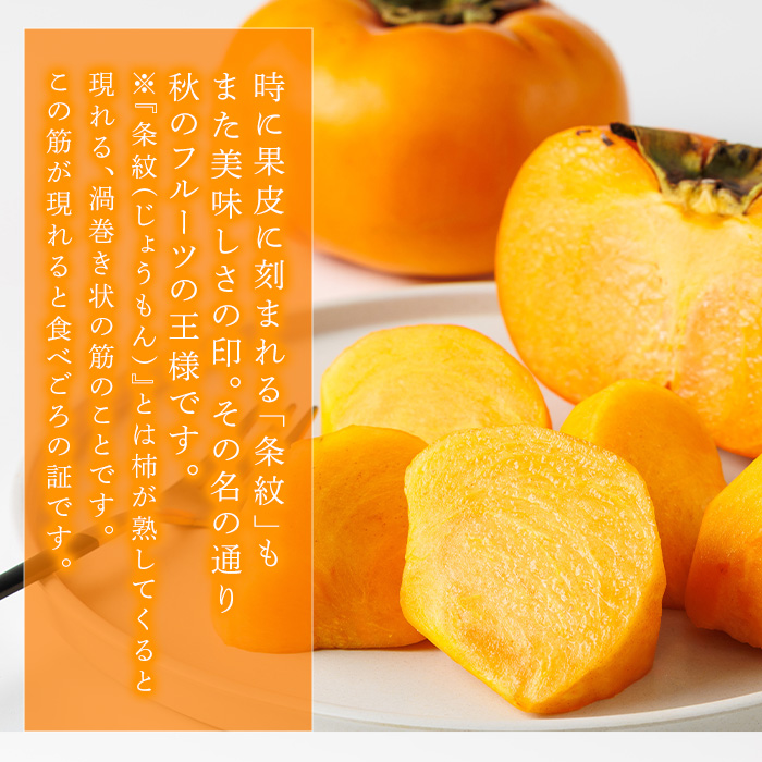 ＜先行予約受付中！2026年10月下旬～11月下旬に順次発送予定＞秋のフルーツの王様・ブランド柿 秋王 化粧箱入り (約計1.75kg・6個入り) かき カキ フルーツ 果物 くだもの 福岡限定 オリ