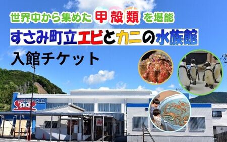 ＼たくさんの生物と触れ合える♪／　エビとカニの水族館 ペアチケット【ebk001】