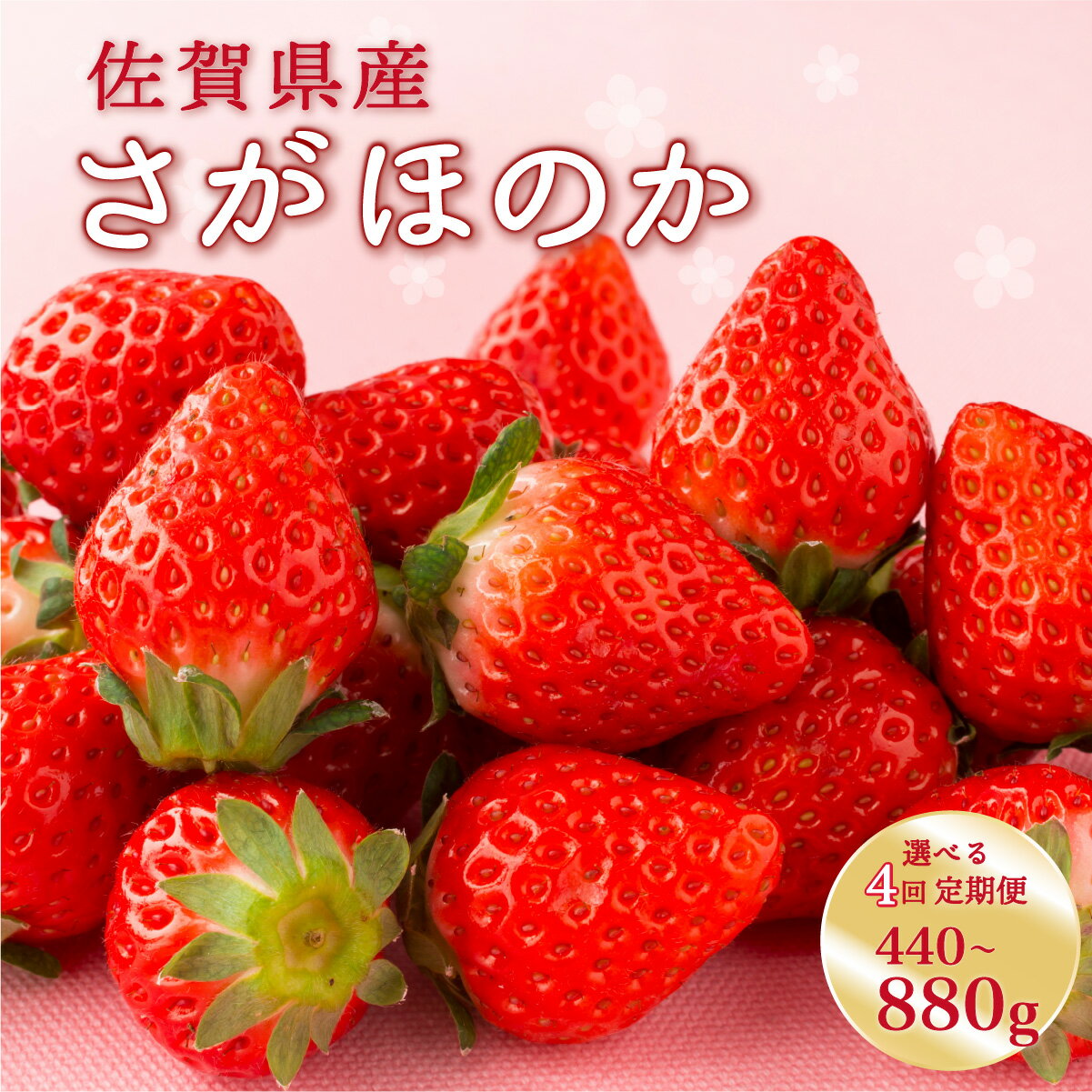 【ふるさと納税】【先行予約】◆2026年1月〜4月発送予定◆ 4回定期便 さがほのか【選べる容量 2パック・4パック】／ いちご 苺 イチゴ 佐賀 さが 大町 ふるさと納税