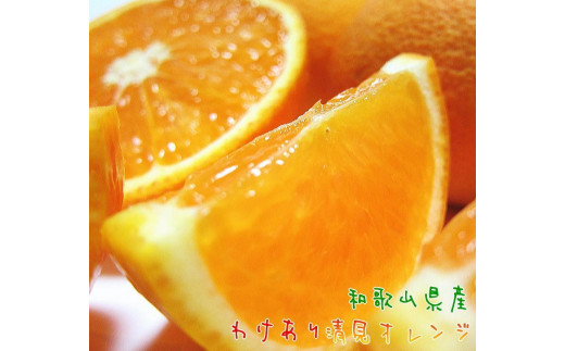 
                  有田育ちの 完熟 清見 オレンジ（ご家庭用）約5kg［先行予約］［MS33］
                