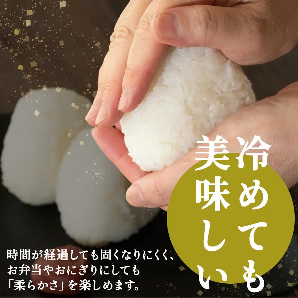 【定期便6カ月】北海道産おぼろづき　5kg×2　計10kg 【配送不可地域：離島・沖縄県】