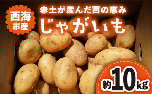 【5月下旬より発送】 じゃがいも 西海市産 約 10kg ＜ファームまるだ＞ [CDT002] ジャガイモ じゃがいも 芋 西海市産 じゃがいも 野菜