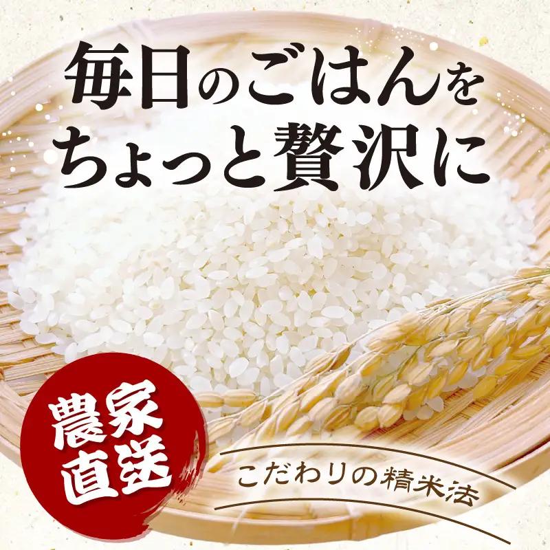 【先行予約】【令和8年産】 定期便 ≪6ヶ月連続お届け≫ にじのきらめき うまみ精米 5kg×6回／ 鮮度抜群 30キロ 福井県あわら産 お米 ※2026年10月上旬より順次発送 [aw071-f00