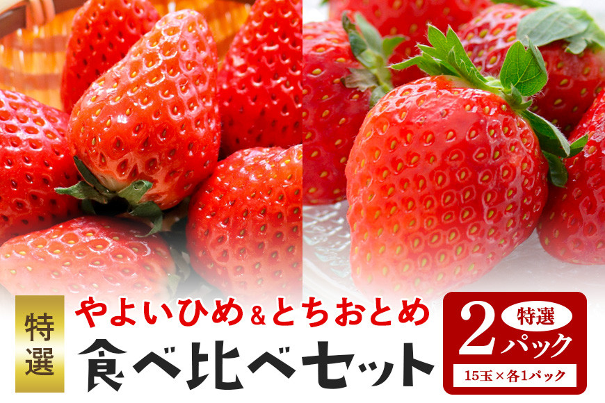 
【数量限定・先行予約】 やよいひめ･とちおとめ 特選15玉 各1パック いちご イチゴ 苺 フルーツ 果物 くだもの ＜2025年1～3月発送予定＞ （茨城県共通返礼品 石岡市） 71-H
