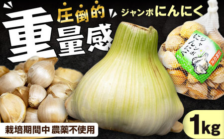 佐々町産ジャンボニンニク1kg[QAT021]